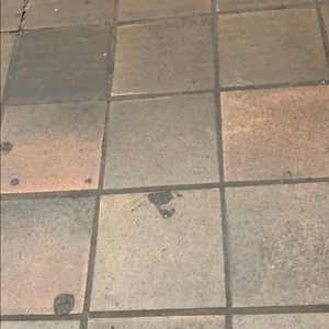 Meet your Posher, Danny